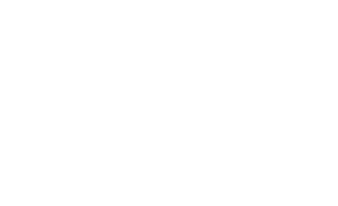 Mission/Vision/Value